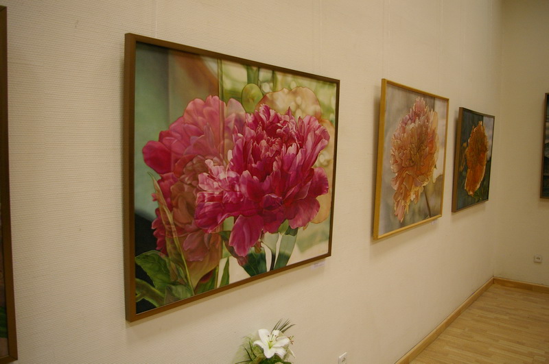 Ряд розовых пионов