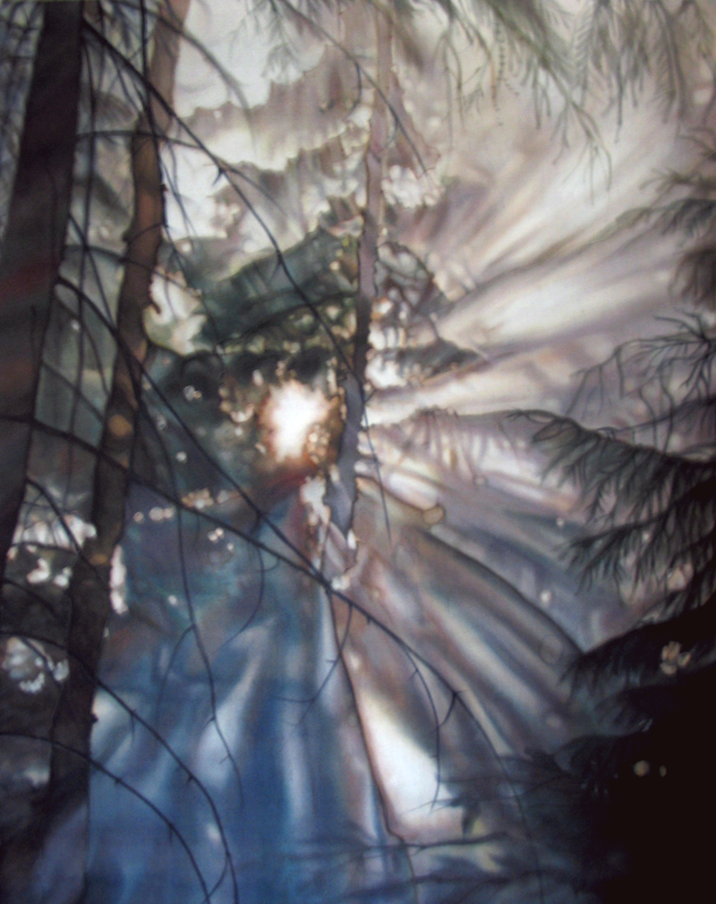 Солнце сквозь ели